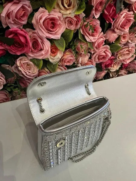 Bolsa Ariel Prata Pedraria